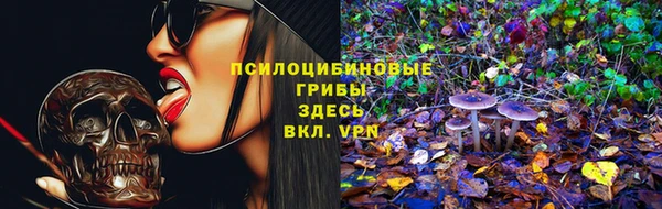 СК Кулебаки