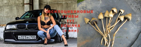 гашик Нягань