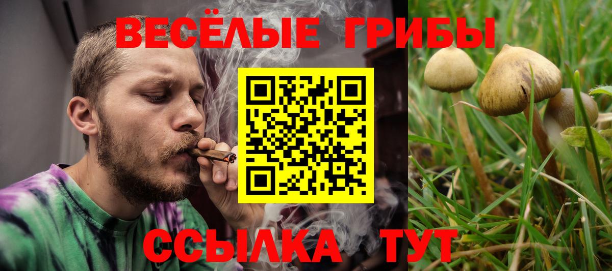 Южноуральск  Псилоцибиновые грибы мицелий  Вход с VPN  Псилоцибиновые грибы Psilocybine cubensis 